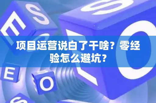 项目运营说白了干啥?零经验怎么避坑? 项目运营说白了干啥?零经验怎么避坑?